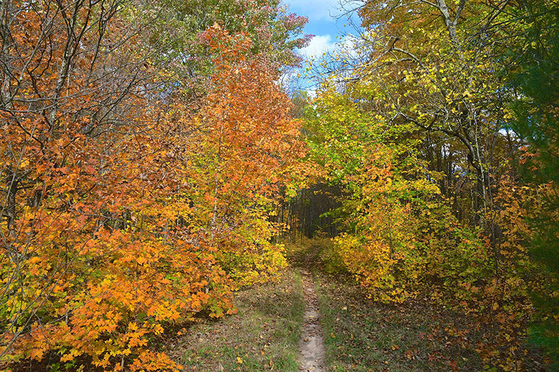 Betsie River Pathway